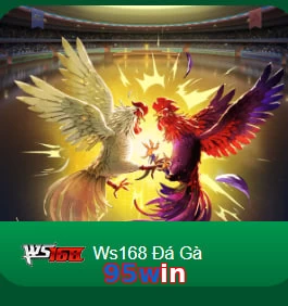 95win